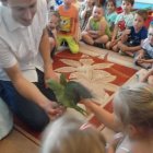 Świat papug w przedszkolu samorządowym w Kłaju