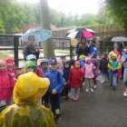 Grodkowickie przedszkolaki w zoo