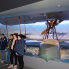 Wizyta w schronisku dla zwierząt i w Muzeum Lotnictwa Polskiego