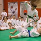 Spotkanie Noworoczne Karateków 2017