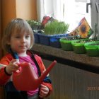 Zielone ogródki w przedszkolu w Dąbrowie