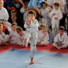 II Puchar Krakowa w Karate Tradycyjnym Dzieci i Młodzieży