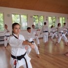Karatecy z Gminy Kłaj, trenowali w tym roku na 3 obozach