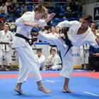 Sukcesy międzynarodowe Naszych karateków