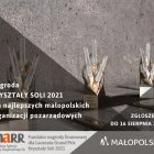 „Amicus Hominum" oraz „Kryształy Soli" dla najlepszych małopolskich organizacji pozarządowych