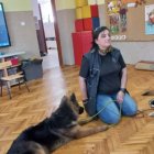 Przedszkole w Szarowie bierze udział w projekcie „Bliżej pieska”