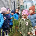 „Drogie drzewko obiecujemy, że szanować Cię będziemy”, czyli jak Przedszkolaki z Szarowa świętowały Dzień Drzewa