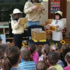 Warsztaty pszczelarskie w szarowskim przedszkolu