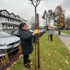 124 lata temu wydarzyło się "Wesele"